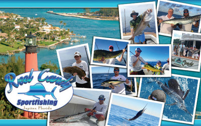 Reel Candy - Short Sleeve