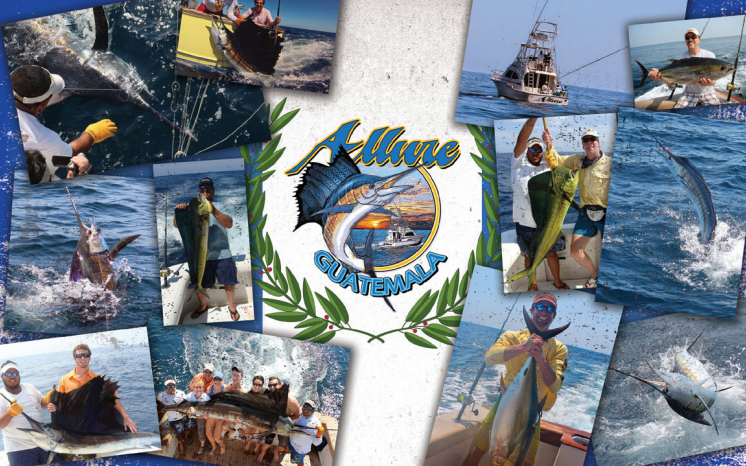 Sailfish Oasis Charters - Short Sleeve