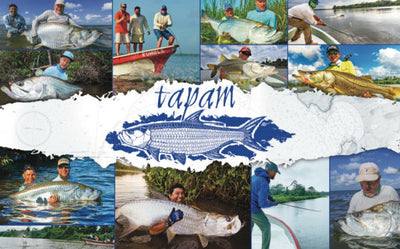 Tapam Lodge - Performance