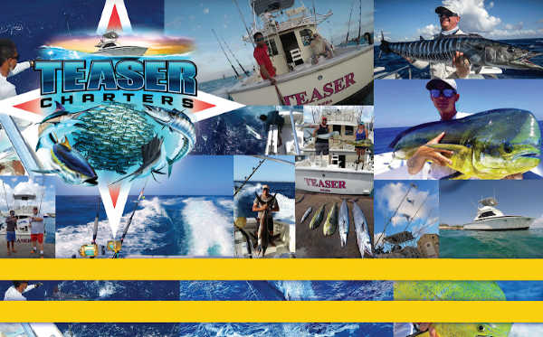 Teaser Charters - Short Sleeve