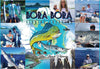 Bora Bora Fishing Charters - Long Sleeve