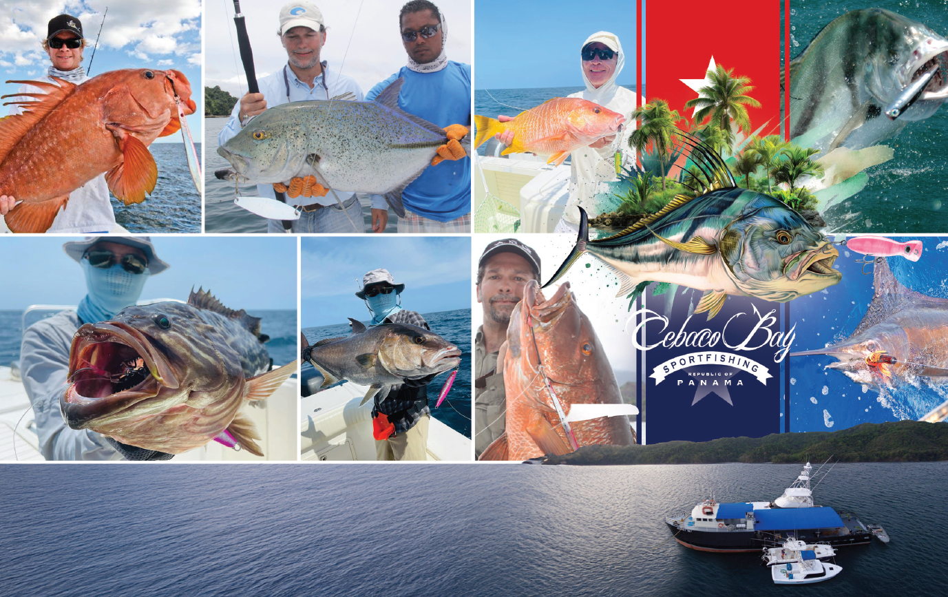 Cebaco Bay - Triblend