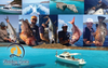 Fishing Crete Charters