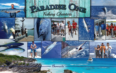 Paradise One Fishing Charters