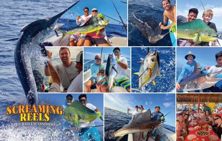 Screaming Reels Sportfishing - Performance