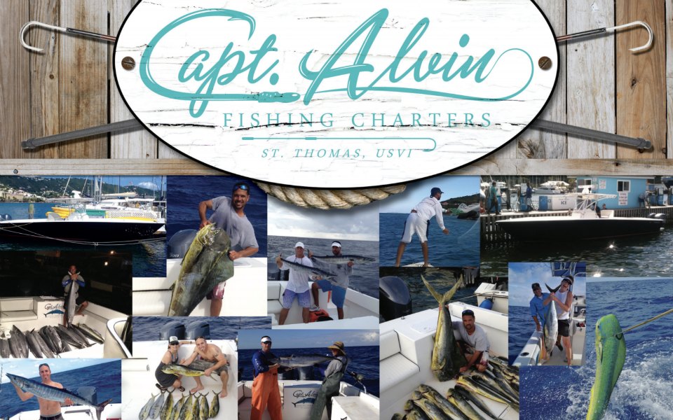 Captain Alvin - Performance