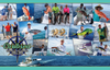 Caribsea Sportfishing Charters - Pocket Tee