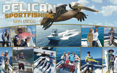 Pelican Sport Fishing - Long Sleeves